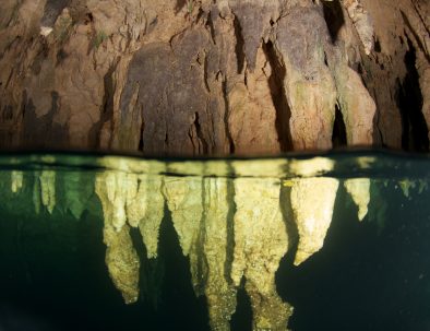 Stalagtites